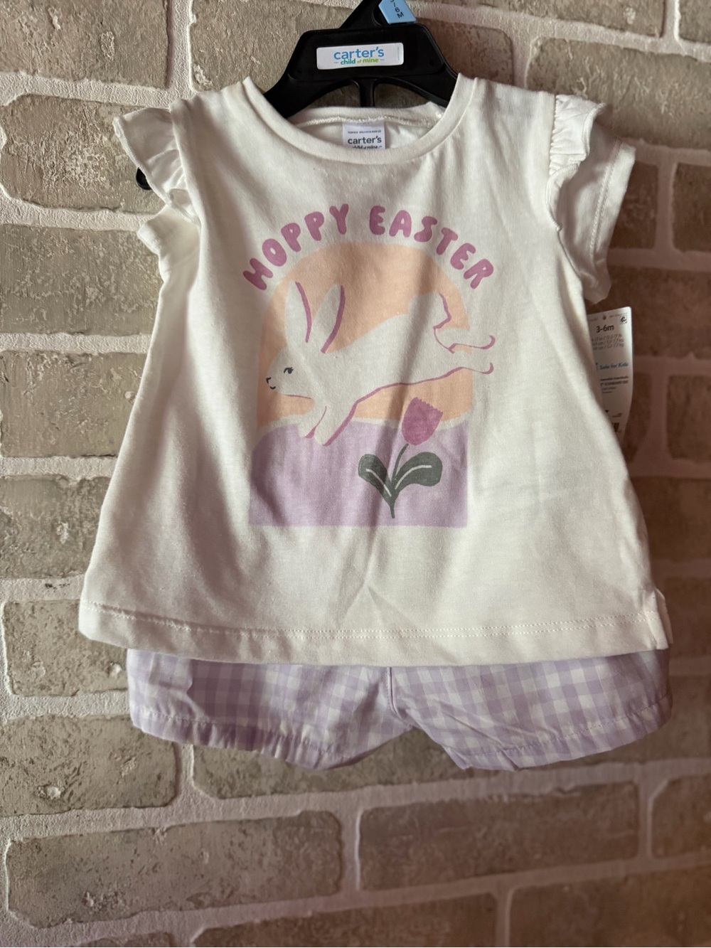 Carter's White Tee with Pastel Bunny Graphic & Lavender Gingham Shorts
